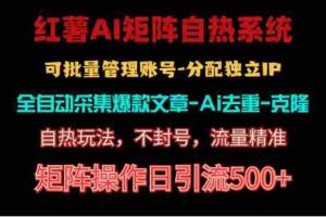 （10828期）红薯矩阵自热系统，独家不死号引流玩法！矩阵操作日引流500+