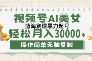 (12087期)视频号AI美女跳舞,轻松月入30000+,蓝海赛道,流量池巨大,起号猛,无…