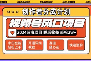 (12084期)微信视频号大风口项目 轻松月入2w+ 多赛道选择,可矩阵,玩法简单轻松上手