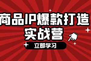 (12136期)商品-IP爆款打造实战营【第四期】,手把手教你打造商品IP,爆款 不断