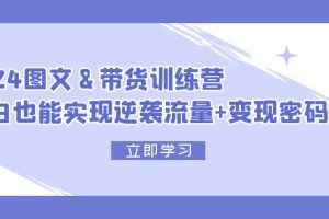 (12137期)2024 图文+带货训练营,小白也能实现逆袭流量+变现密码