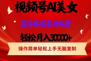 (12178期)视频号AI美女跳舞,轻松月入30000+,蓝海赛道,流量池巨大,起号猛,当…