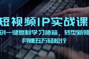 短视频IP实战课,独创一键复制学习秘籍,转战新领域,月赚五万轻松行