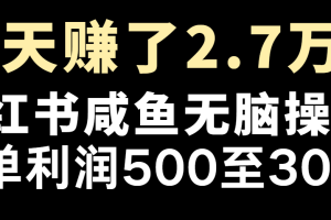 七天赚了2.7万!每单利润最少500+,轻松月入5万+小白有手就行