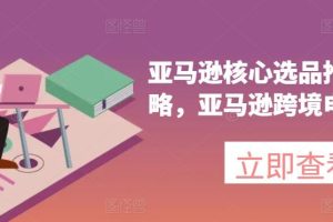 亚马逊核心选品推广新攻略，亚马逊跨境电商教程