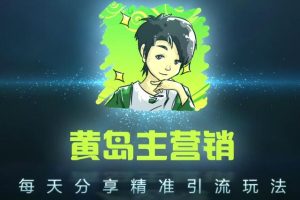 黄岛主引流课程：抖音SEO被动精准引流玩法大解析