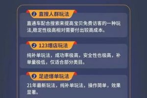 数据蛇淘宝2021最新三大补单玩法+稽查规则，降低90%被抓概率