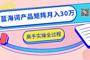2020最新无货源店群项目，蓝海词产品矩阵月入30万，高手实操全过程（视频教程）