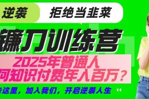 镰刀训练营超级IP合伙人，25年普通人如何通过“知识付费”实现逆袭