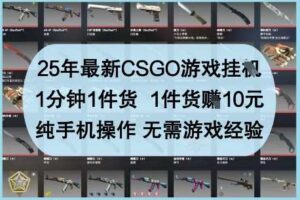 25年最新CSGO游戏挂G，1分钟1件货，1件货挣10元，纯手机操作，无需游戏经验【揭秘】