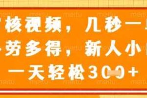 视频审核员，几秒一单，不限时间，不限地点，多做多得，新人小白一天轻松几张+【揭秘】