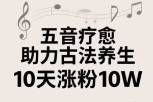 古法五音养生教程，五音疗愈的视频的制作方法，2-4小时就能学会，作者10天涨粉10W
