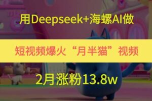 用Deepseek+海螺AI做短视频爆火“月半猫”视频，2月涨粉13.8w