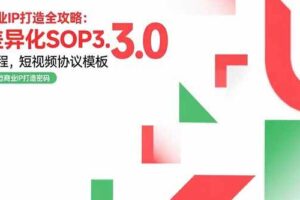 （15486期）商业IP打造全攻略：差异化SOP3.0流程，短视频协议模板，婚恋项目实战案例