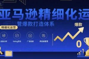 亚马逊精细化运营爆款打造体系，视频课+全套资料文档