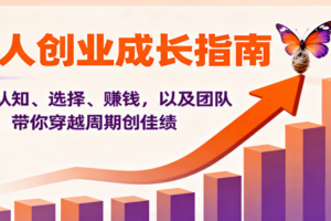 个人创业成长指南：涵盖认知、选择、赚钱，以及团队管理，带你穿越周期创佳绩