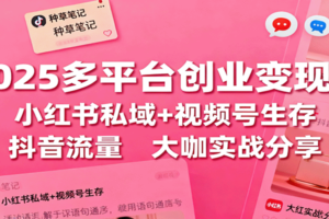 2025多平台创业变现课：小红书私域+视频号生存+抖音流量，大咖实战分享