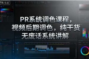 PR系统调色课程，视频后期调色，纯干货无废话系统讲解
