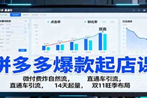 拼多多爆款起店课:微付费炸自然流,直通车引流,14天起量,双11旺季布局