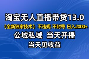 淘宝无人直播13.0,公域私域技术,不封号,不违规 布局下半年旺季赛道,日入2000+