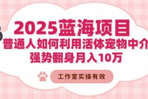 （16489期）2025蓝海项目：普通人如何利用活体宠物中介，强势翻身月入10万