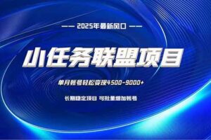 （16521期）小任务联盟项目：一台电脑每天只需10分钟，轻松简单稳定