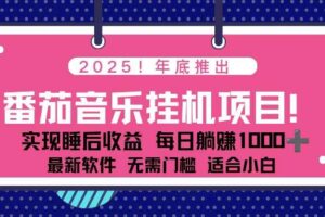 (16835期)全新平台,蓝海时期!2025年年底番茄音乐挂机项目,每天几分钟,月入1000+,可矩阵