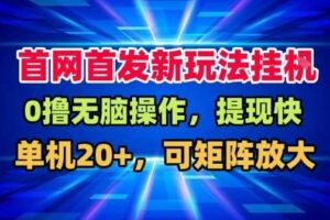 全网首发挂G，盒子自动賺米，单机20+，可矩阵放大，长期稳定运营【揭秘】