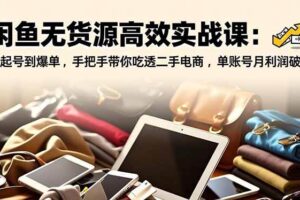 (16875期)闲鱼无货源高效实战课:从起号到爆单,手把手带你吃透二手电商,单账号月利润破万