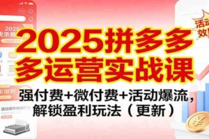 2025拼多多运营实战课：强付费+微付费+活动爆流，解锁盈利玩法（更新）