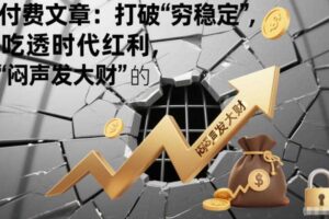 付费文章：打破“穷稳定”，吃透时代红利，“闷声发大财”的终极真谛