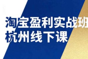 淘宝盈利实战班杭州线下课12月26-28日（音频+字幕），帮你掌握SOP流程+12门核心技术