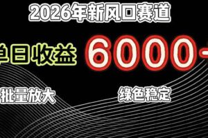 （17135期）2026年新风口赛道，当日6000+以上，可批量放大，月收入20万+，长期绿色稳定的项目