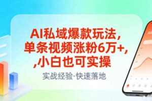 AI私域爆款玩法,单条视频涨粉6W+,小白也可实操