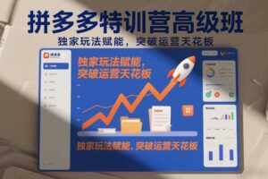 拼多多特训营高阶班，独家玩法赋能，突破运营天花板（更新26年2月）