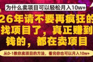 为什么真正賺到钱的都在卖项目，从0-1教你卖项目的方法，看完你也可以月入10w+【揭秘】
