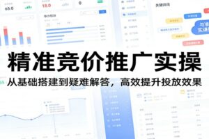 精准竞价推广实操：从基础搭建到疑难解答，高效提升投放效果