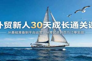 外贸新人30天成长通关课：从基础准备到平台运营，从零起步到百万订单实战